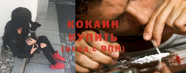 дурь Тавда